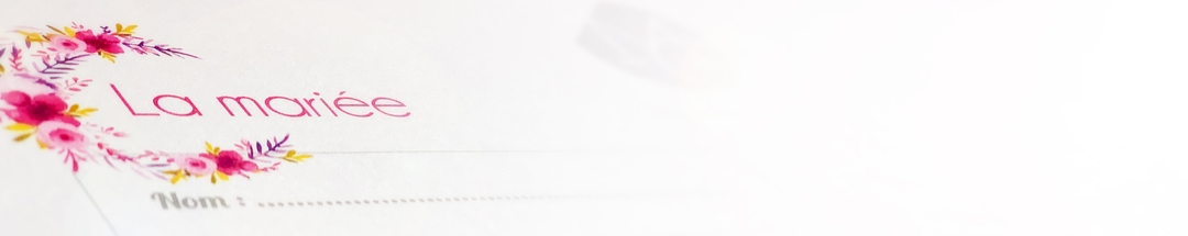 Renseignements mariage annecy haute savoie photographe mg photographic lestudioz