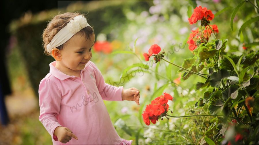 photographe - bébé - enfants - grossesse  (6)