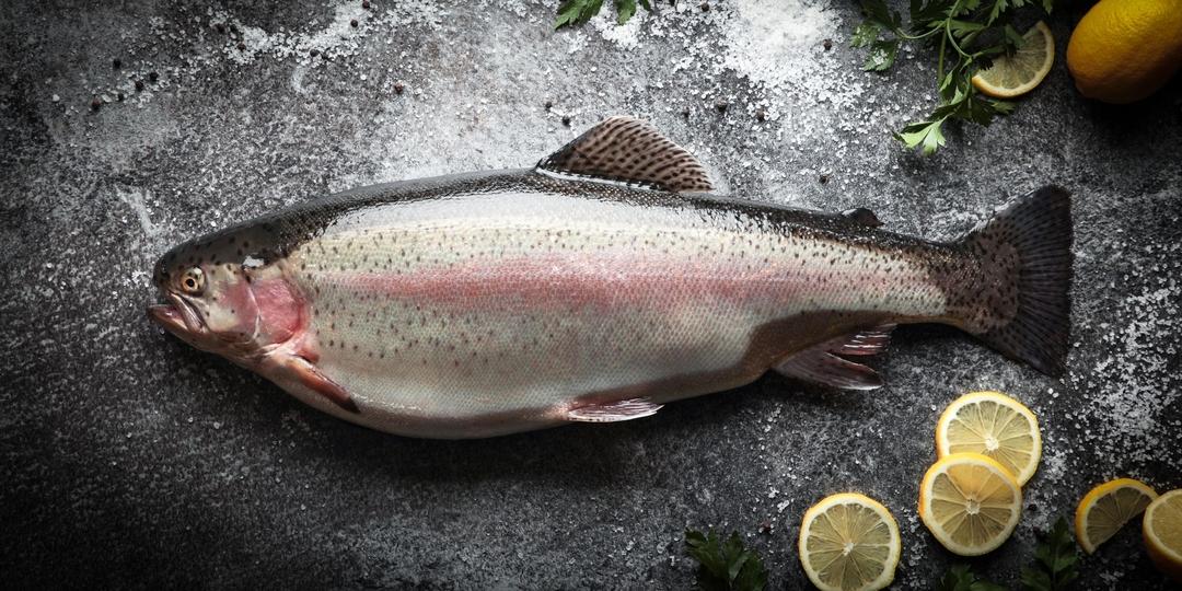 L photographe alimentaire culinaire mise en situation annecy haute savoie photo 1080 truite poisson la source bleue citron horizontal pre sentation vente
