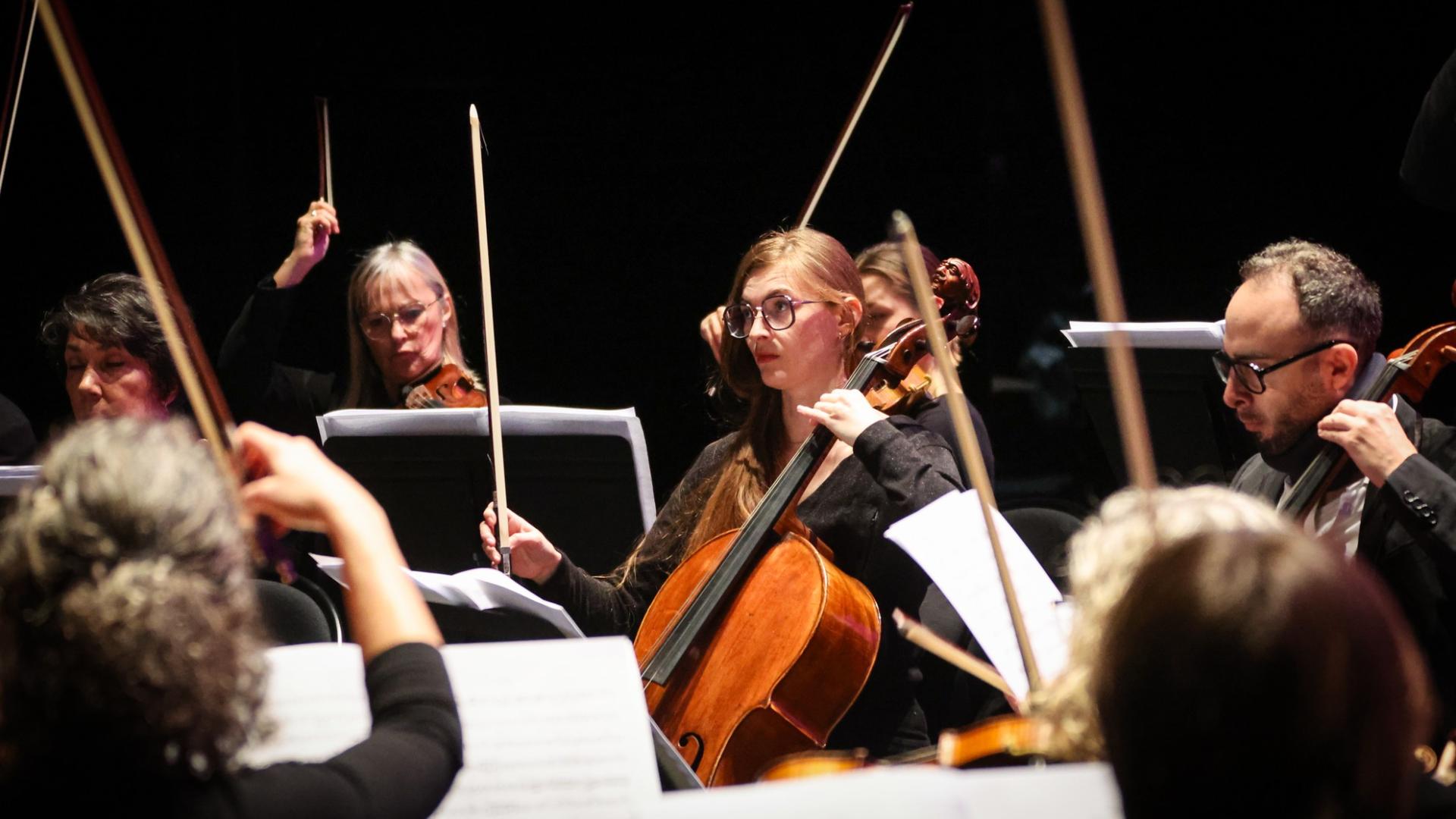 Photographe annecy haute savoie orchestre des pays de savoie bonlieu concert reportage photo entreprise departement fin lever equipe ensemble repetition