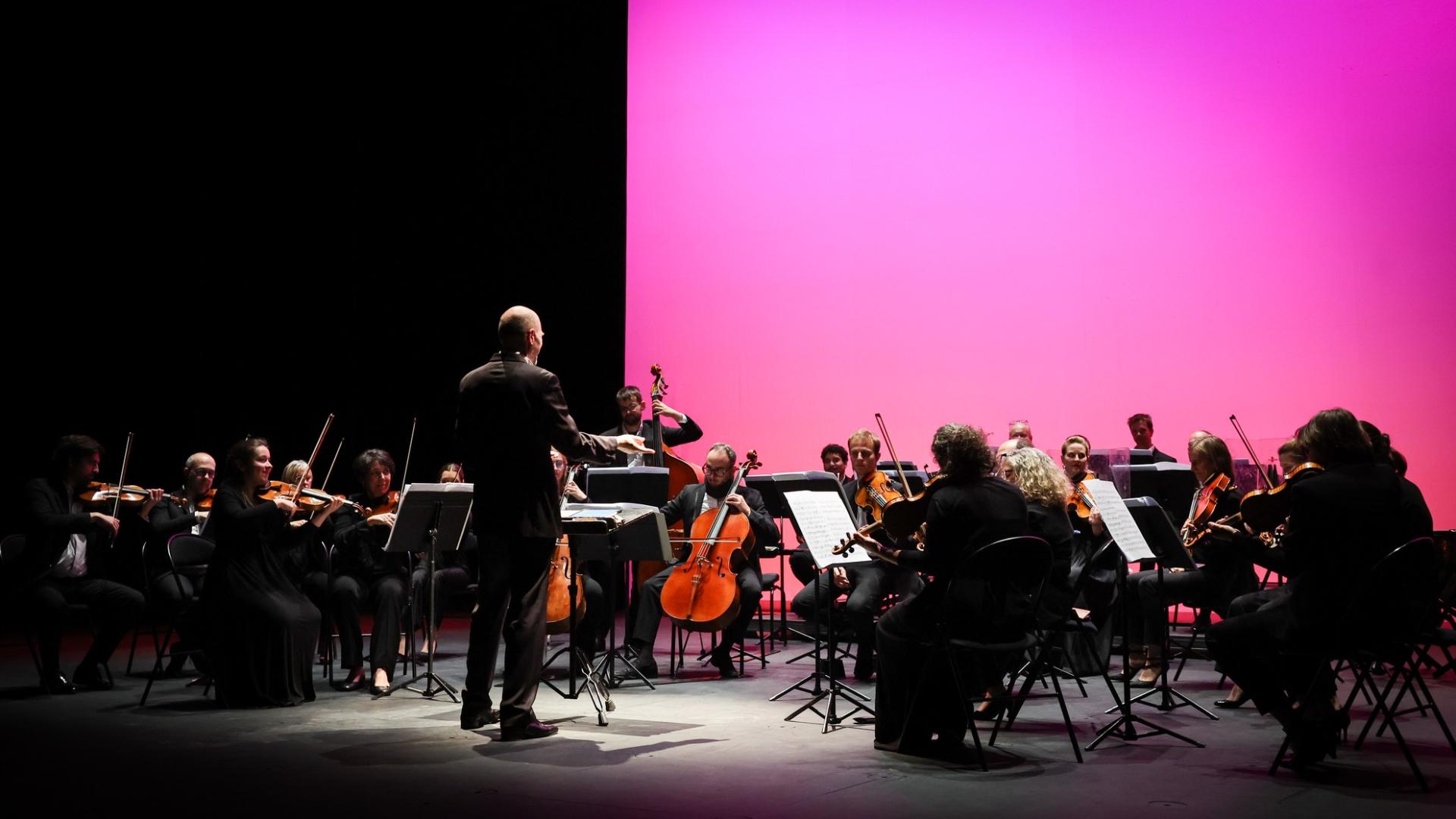 Photographe annecy haute savoie orchestre des pays de savoie bonlieu concert reportage photo entreprise departement groupe musiciens image ensemble unite