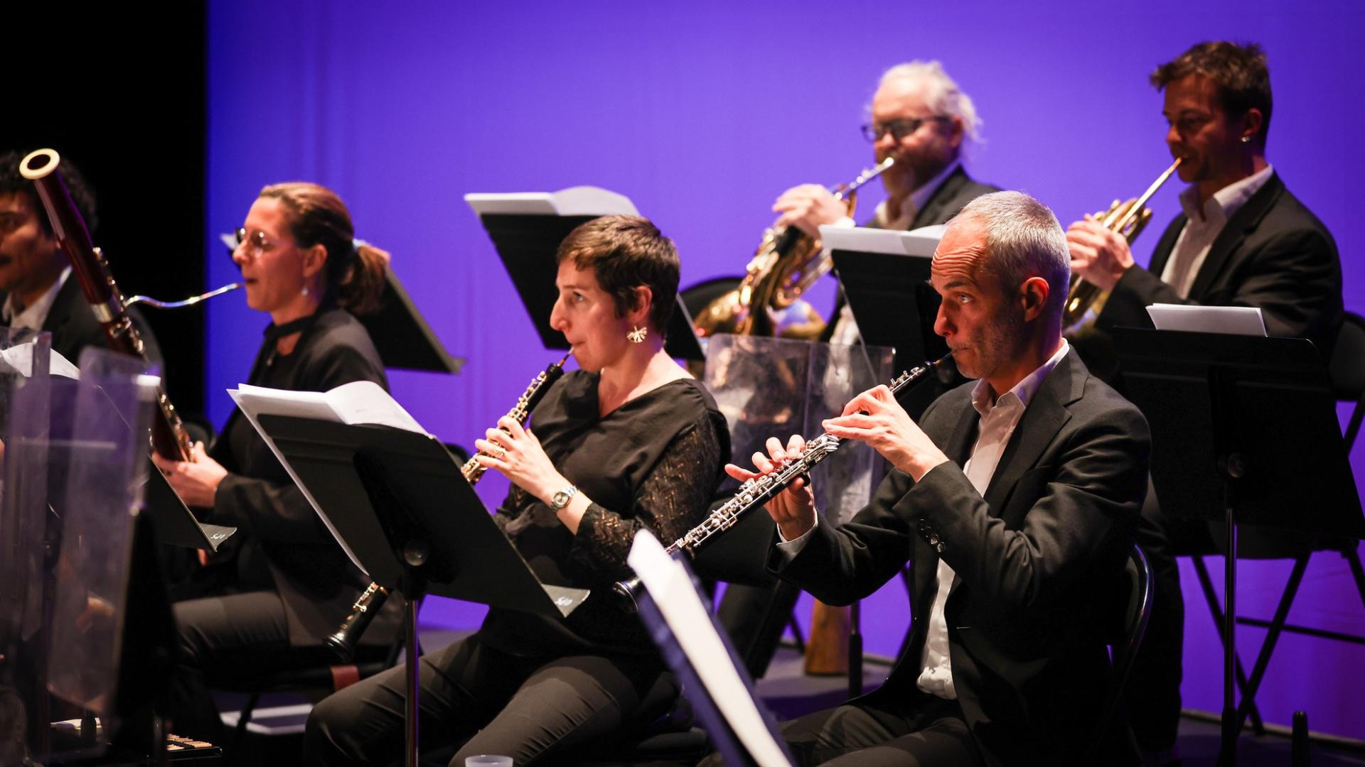 Photographe annecy haute savoie orchestre des pays de savoie bonlieu concert reportage photo entreprise departement groupe vent musiciens