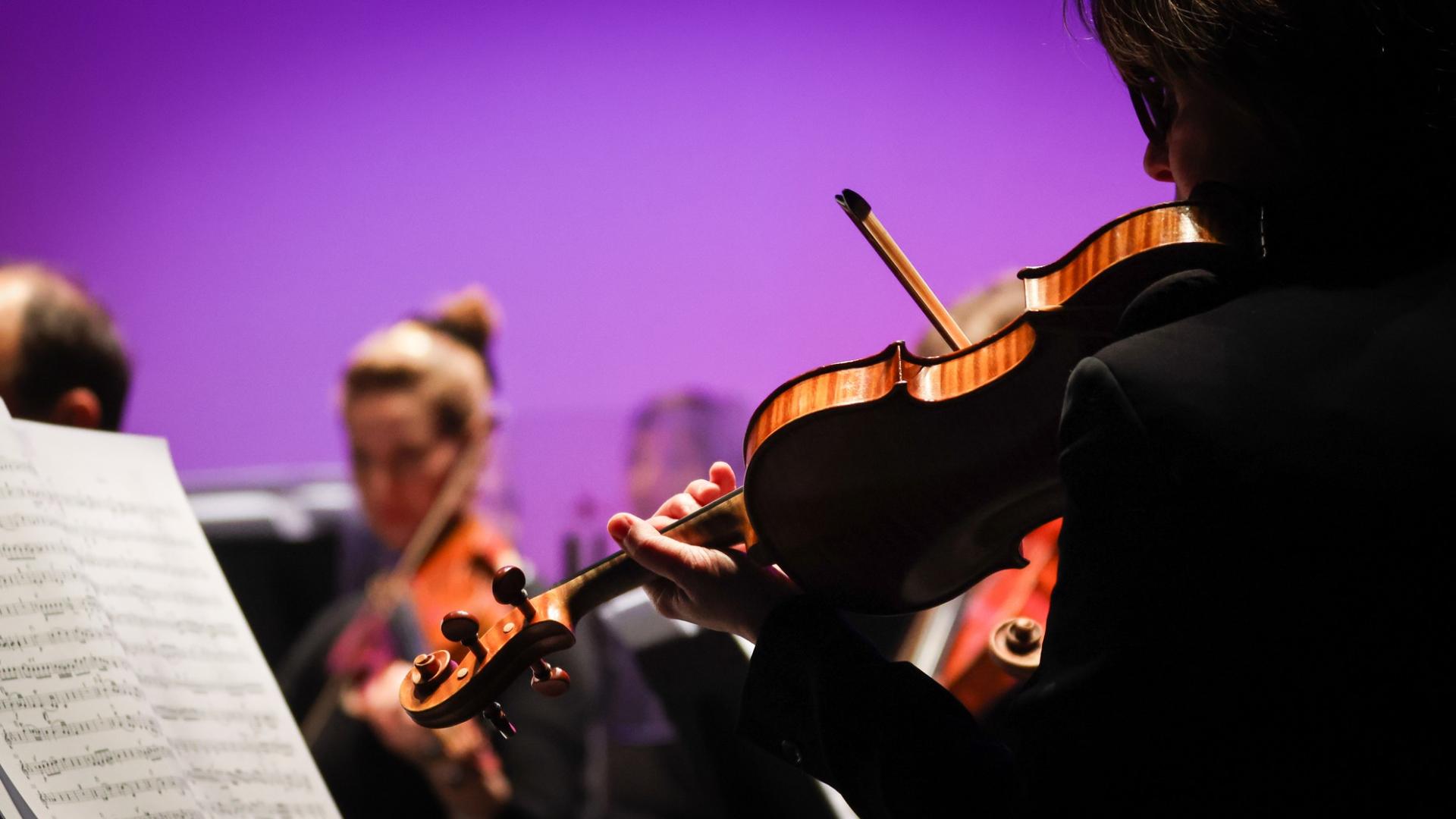 Photographe annecy haute savoie orchestre des pays de savoie bonlieu concert reportage photo entreprise departement illustration photo violon partition beau image