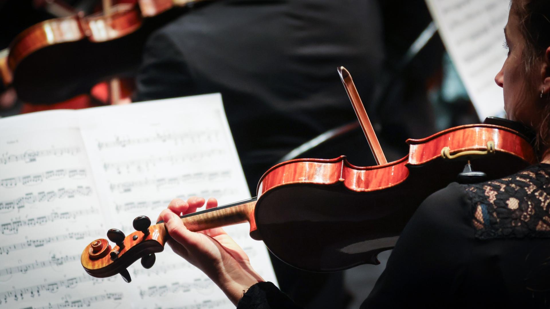 Photographe annecy haute savoie orchestre des pays de savoie bonlieu concert reportage photo entreprise departement image illustration participation paysage