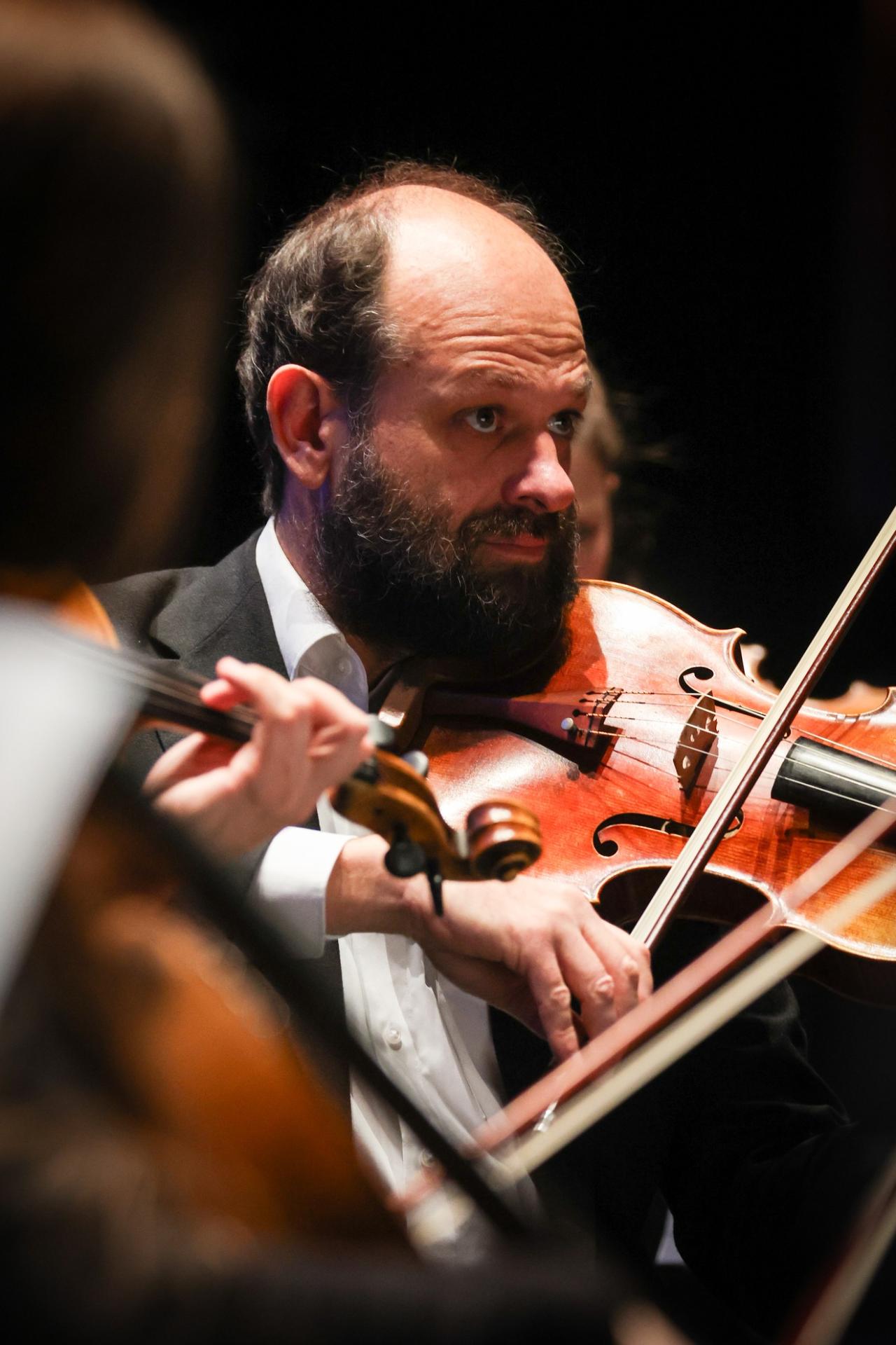 Photographe annecy haute savoie orchestre des pays de savoie bonlieu concert reportage photo entreprise departement soliste violon concentration image representation musicien