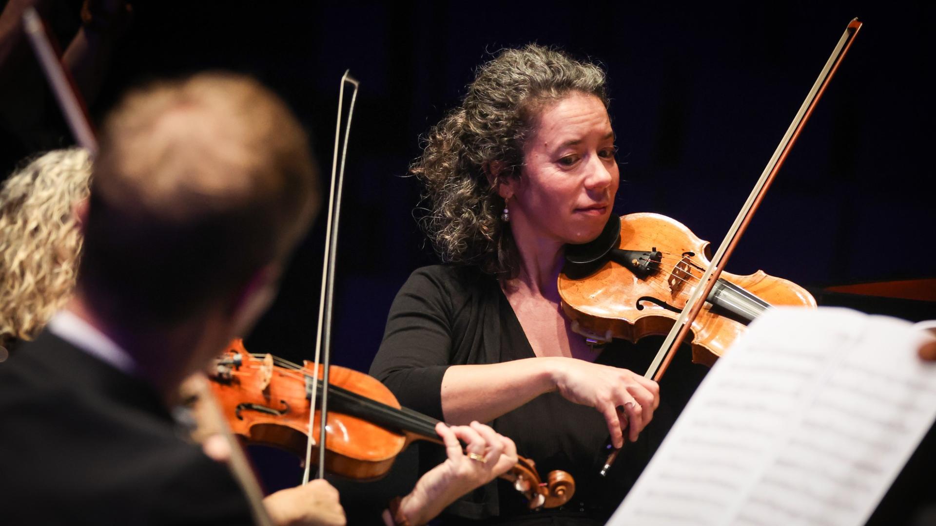 Photographe annecy haute savoie orchestre des pays de savoie bonlieu concert reportage photo entreprise departement violon partition music musicien illustration image