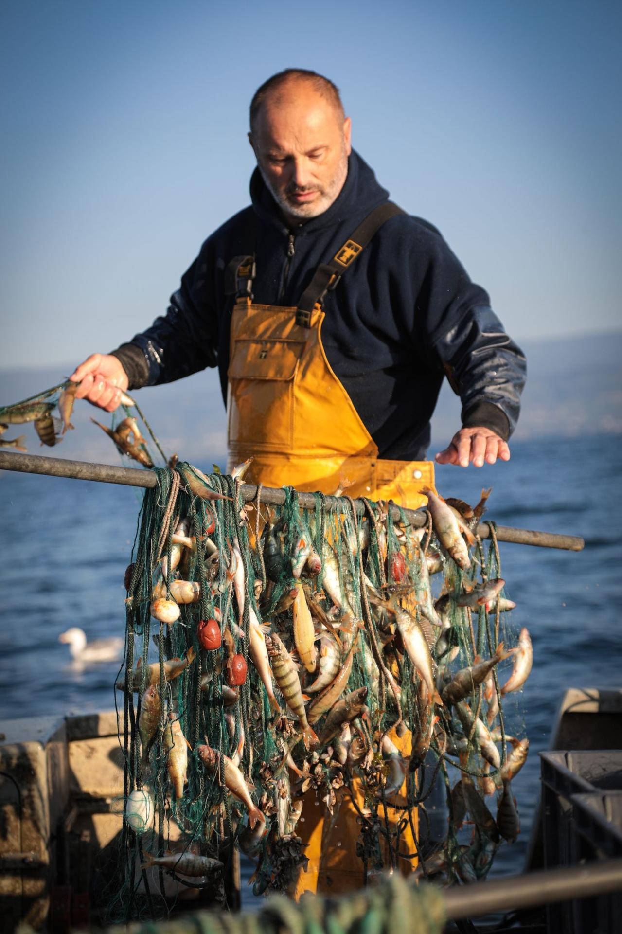 Photographe publicitaire annecy haute savoie terroir producteur image affiche communication fred pecheur perche lac leman filet