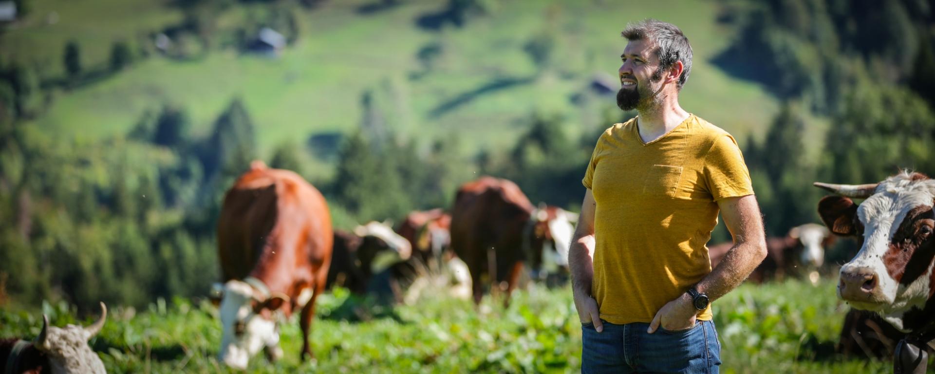 Photographe publicitaire annecy haute savoie terroir producteur image affiche communication gaec mont charvin vaches reblochon produit